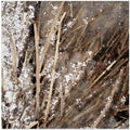Frozen reed I
