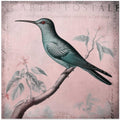 Hummingbird Romance Pastel Pink Ii