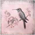 Hummingbird  Romance Pastel Pink