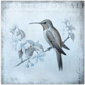Hummingbird  Romance Aqua Blue