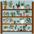 Plant Shelves
