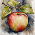 Apfel, Aquarell