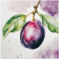 Pflaume, Aquarell, ink