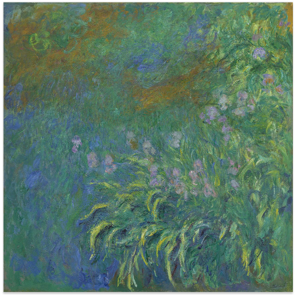 Irises By Claude Monet
