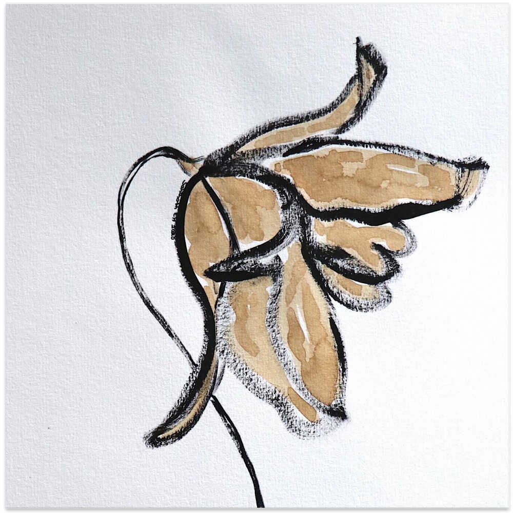 Faded Blossom Sketch