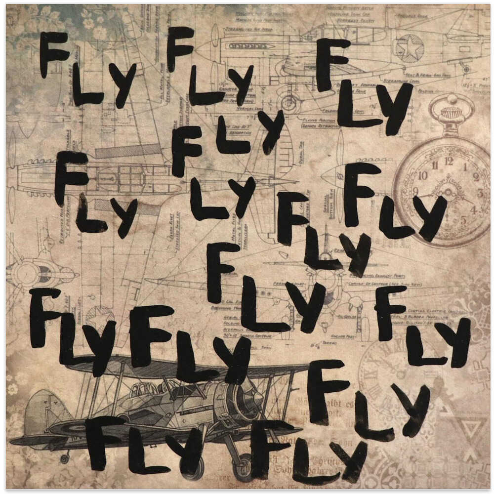 letter art  [fly]