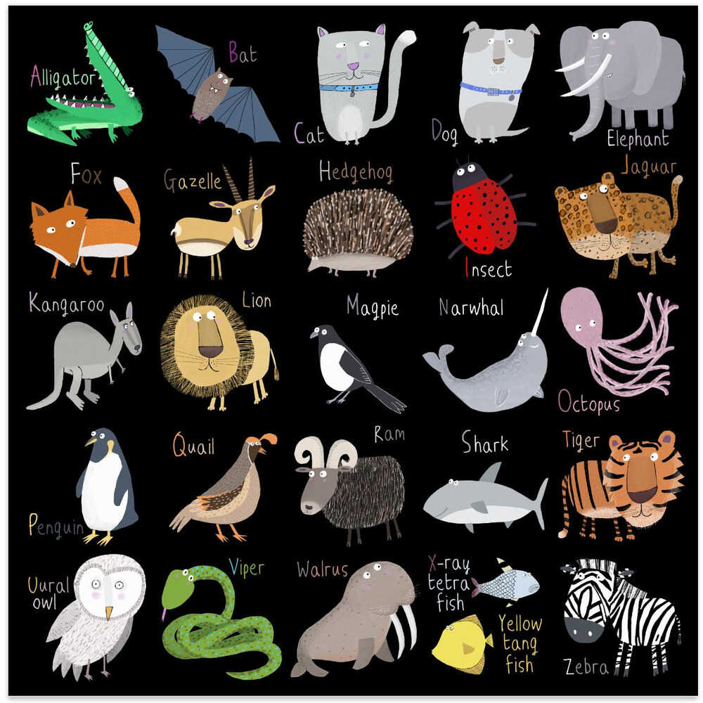 Alphabet Black White