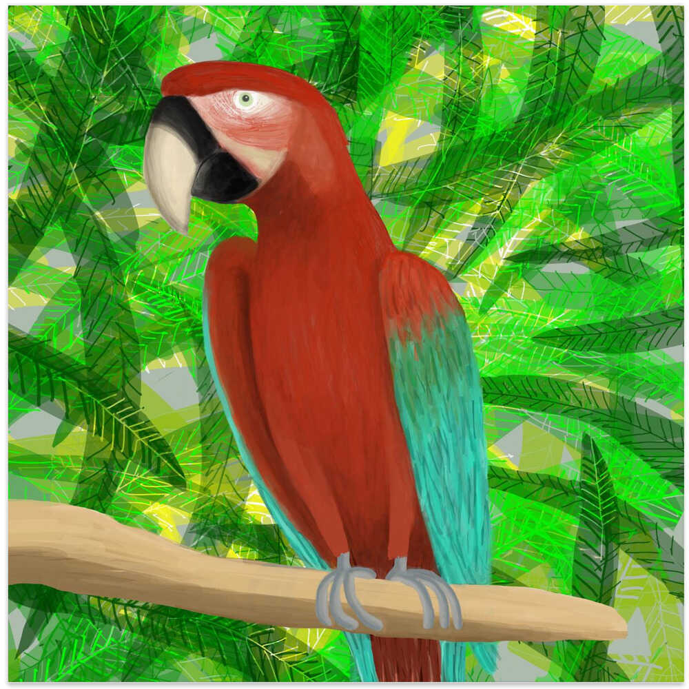 Jungle Parrot Illustrated by Artist Carla Daly