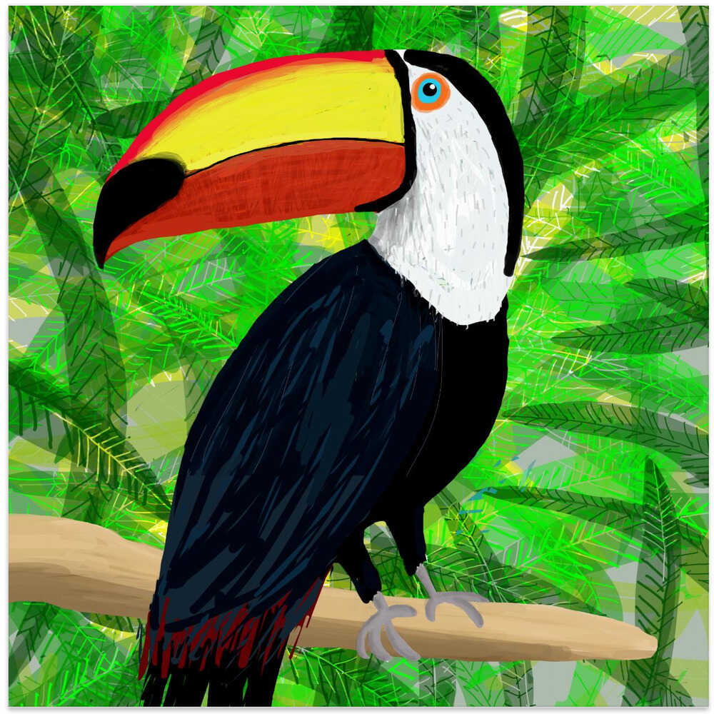 Toucan Tropical Bird by Artist Carla Daly