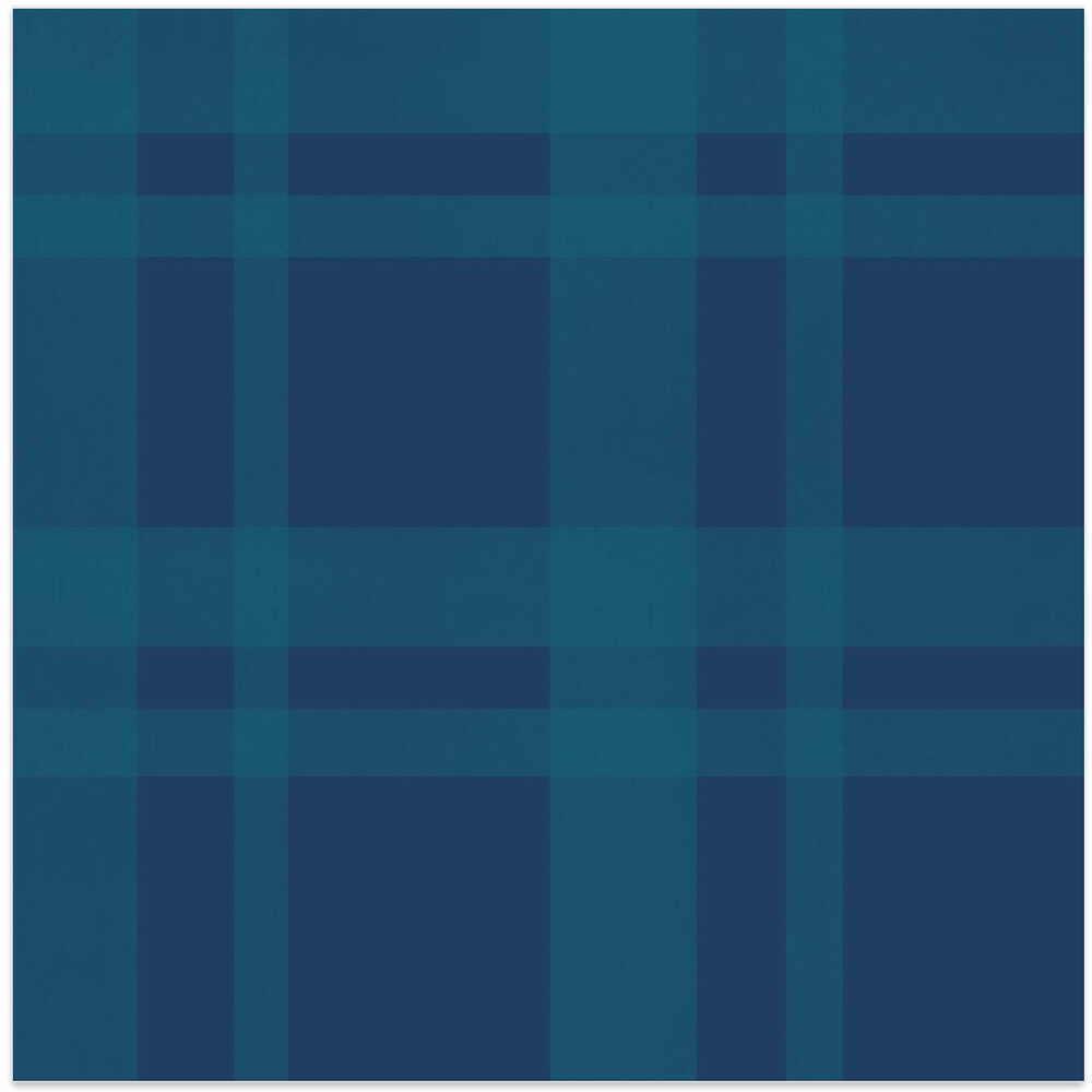 Big Check print texture