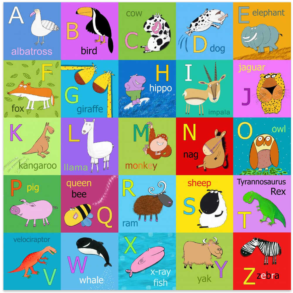 Illustrated Animal Alphabet by Carla Daly