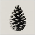 Pinecone Silhouette