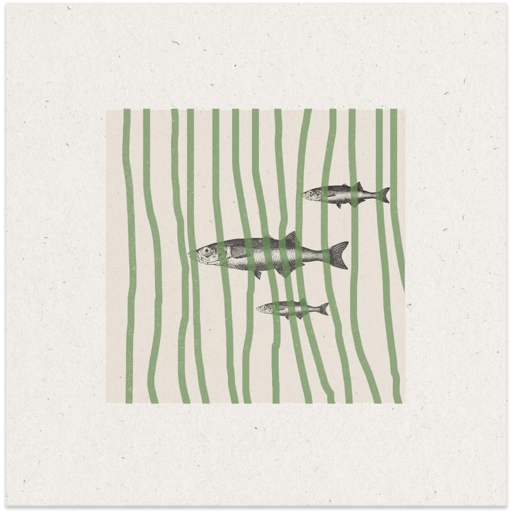 Fish in Striped Waves