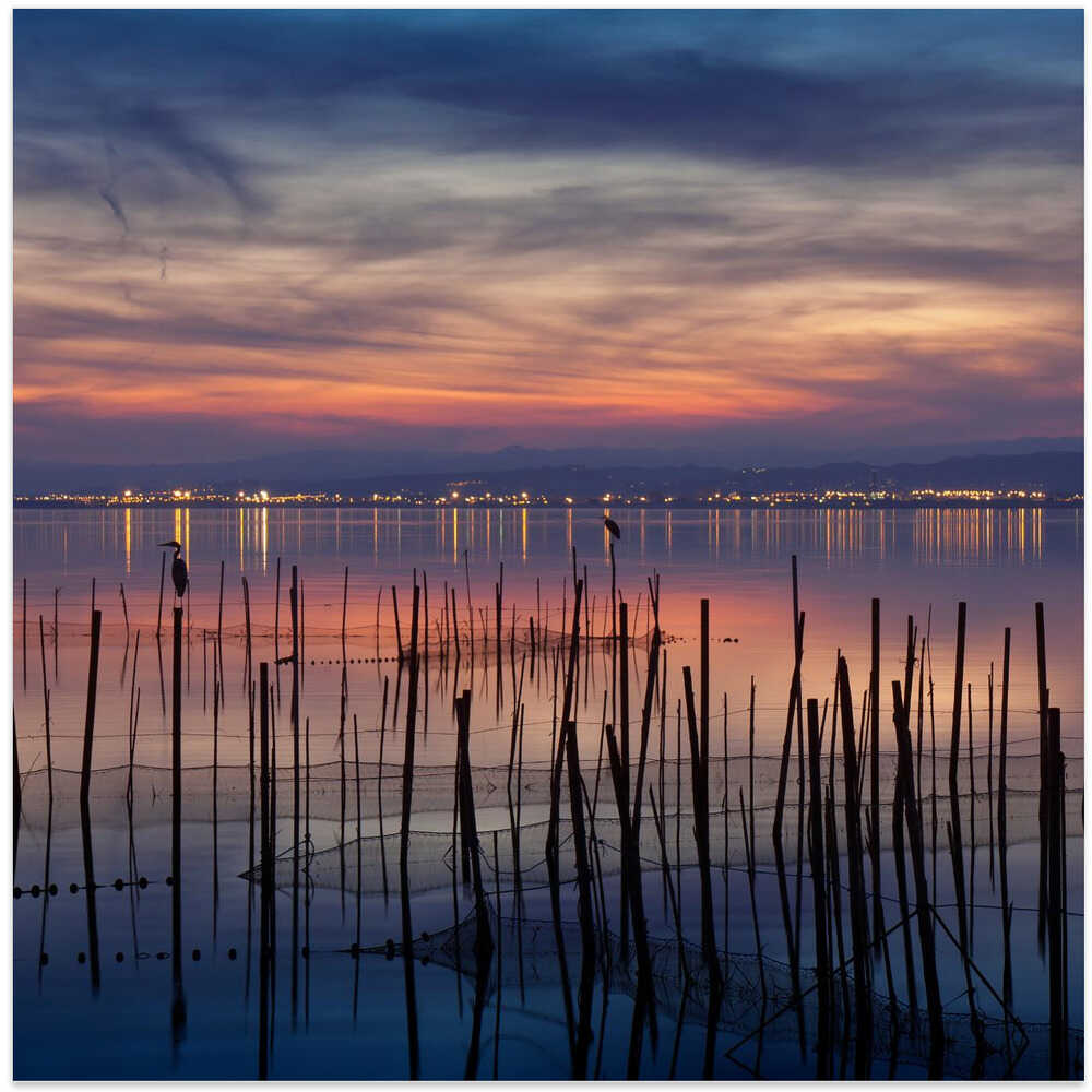 Sunset in the Albufera of Valencia I