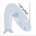 N is for Narwhal