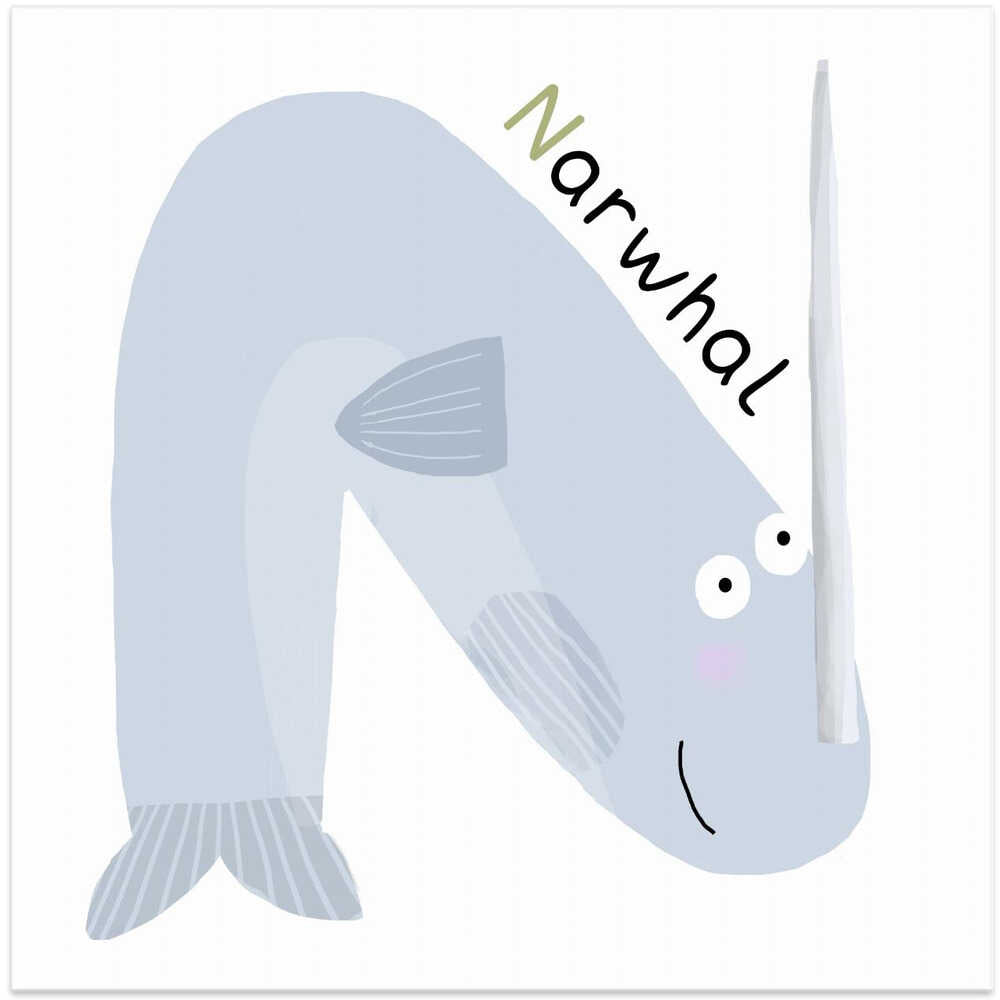 N is for Narwhal