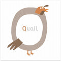 Q is for Quail