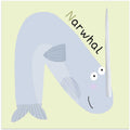 Narwhal With A Large Tusk