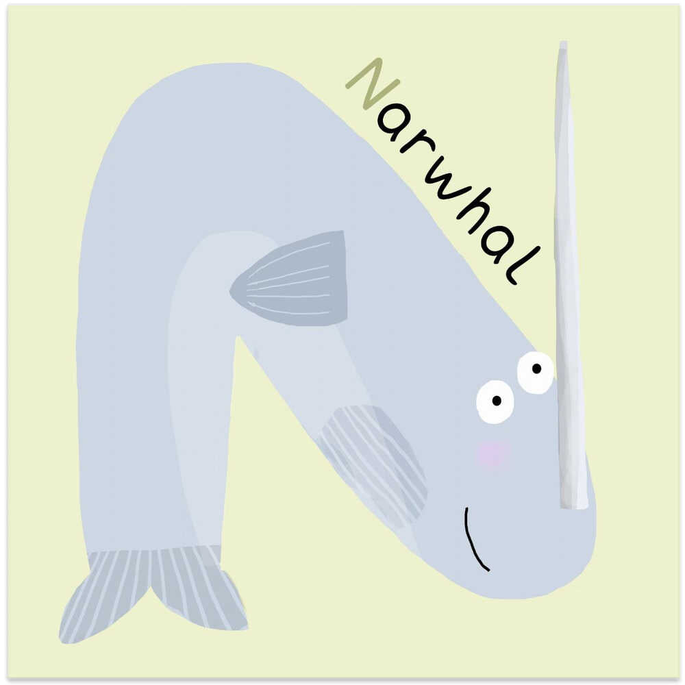 Narwhal With A Large Tusk