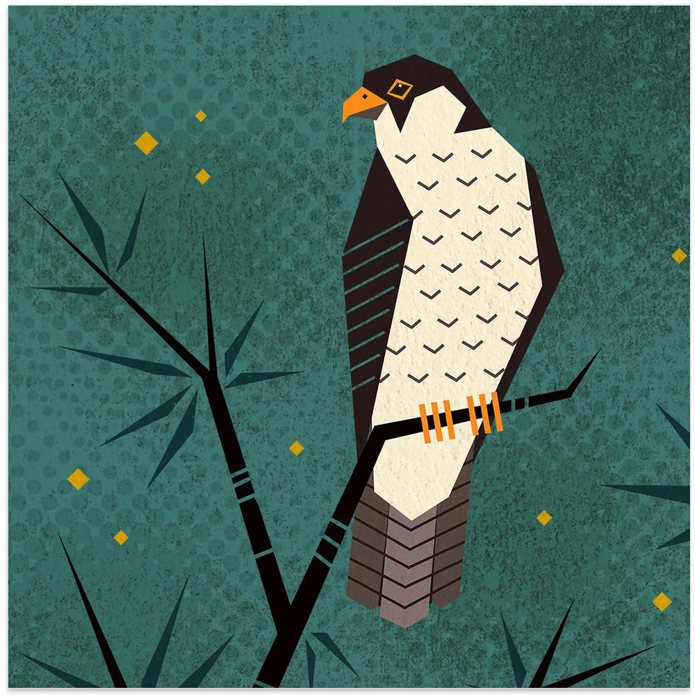 Bird Series   Geometry Falcon