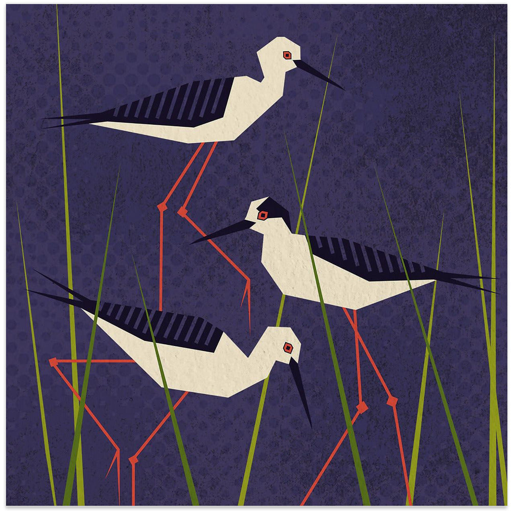 Bird Series   Geometry Stilt