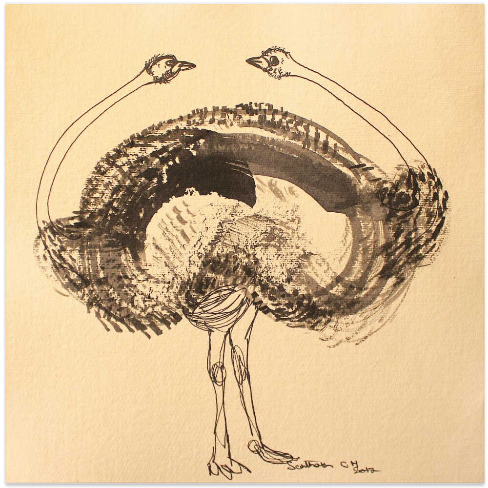 Double Ostrich Dance