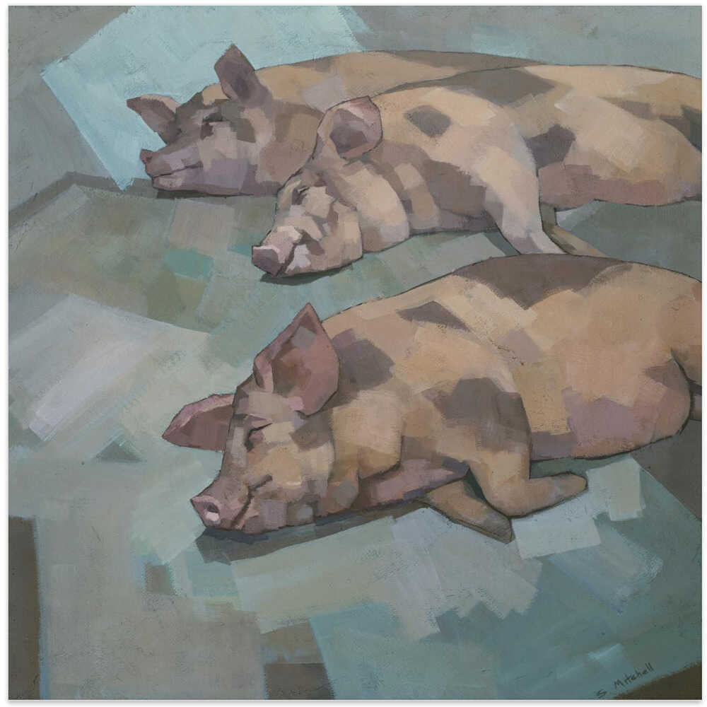 Sleeping Pigs