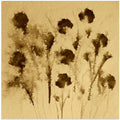 Sepia Blossoms