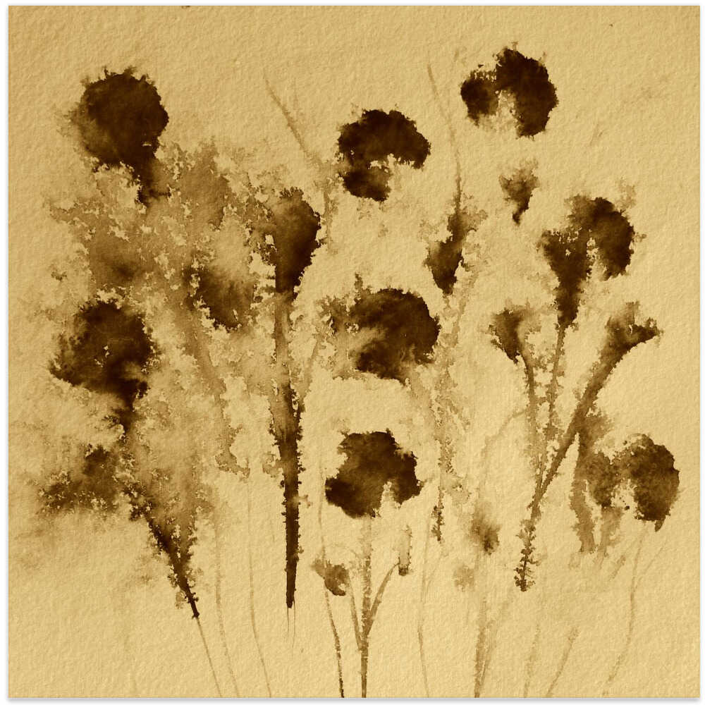 Sepia Blossoms