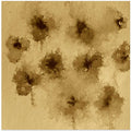 Sepia Splatter Blossoms
