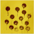 Sunflower Silhouettes