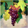 Glistening Grapes