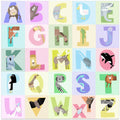 Animal Alphabet Fun