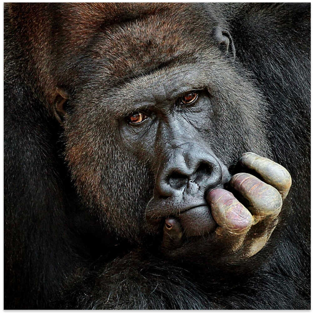 DON'T FORGET ME ....