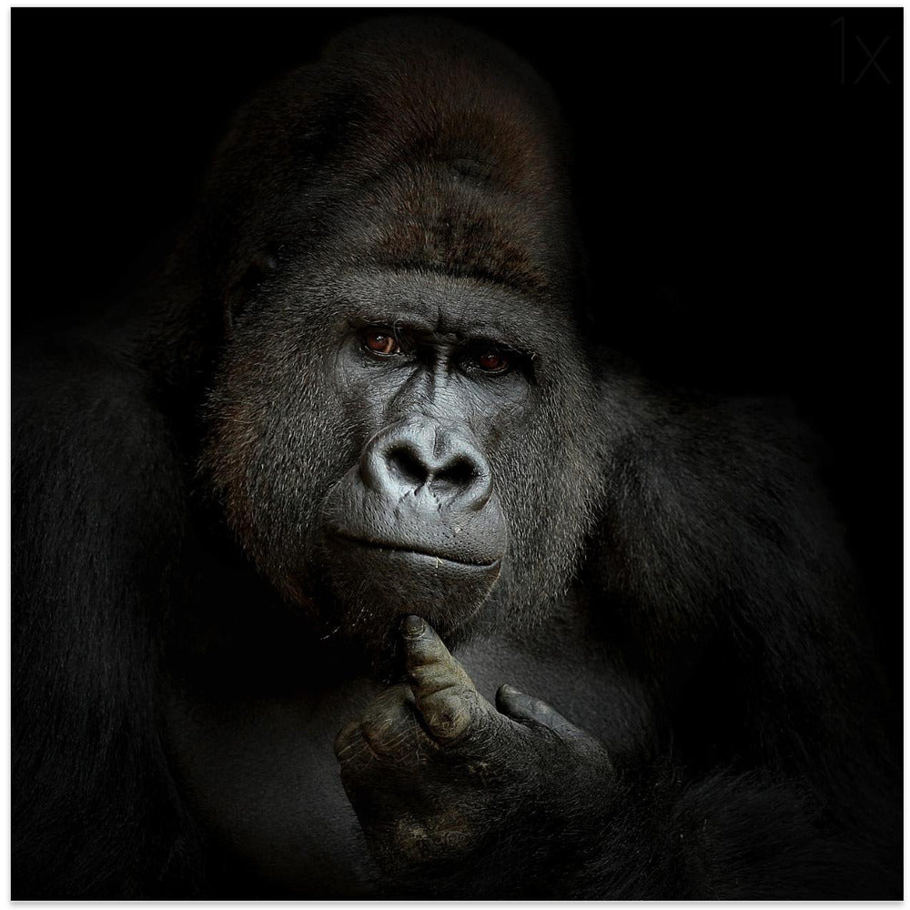 ego cogito, ergo sum